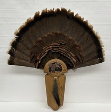 Vintage turkey fan for sale  Dixon