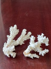 Meeres stein finger gebraucht kaufen  Niedernhausen