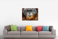 Orangutan poster print for sale  Pleasanton