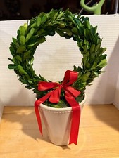 Preserved real boxwood for sale  Doylestown