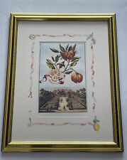 Johan ch.volckamer engraving for sale  Hamtramck
