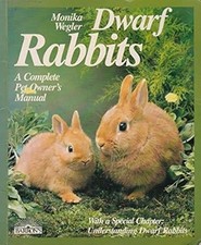 Dwarf rabbits weller for sale  UK