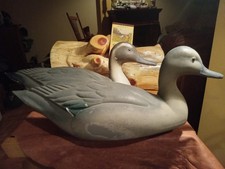 Pintail duck decoys for sale  Mercer