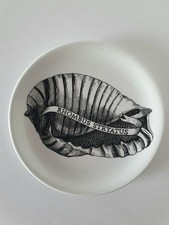 Fornasetti milano ceramica usato  Italia