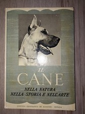 Cane nella natura usato  Torino