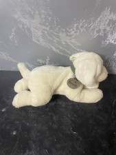 Harrods labrador puppy for sale  MIDDLESBROUGH