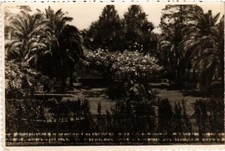 CPA AK SAO PAULO Jardin Botanique. BRAZIL (622013) comprar usado  Enviando para Brazil