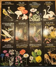 Lingen bestimmungsbuch zoologi gebraucht kaufen Lingen bestimmungsbuch zoologi gebraucht kaufen  Voerde (Niederrhein)