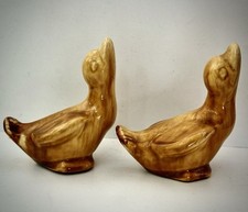 baby ducklings ducks for sale baby ducklings ducks for sale Petoskey