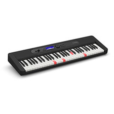 S450 casiotone lighting usato  Roccagloriosa
