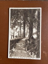 Garden walk grounds for sale  TOTNES