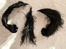 Straussenfedern stück 35 gebraucht kaufen  Söhlde