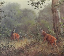 rehwild gebraucht kaufen rehwild gebraucht kaufen Lychen