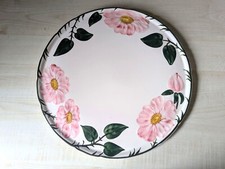 Villeroy boch wildrose gebraucht kaufen  Kühbach