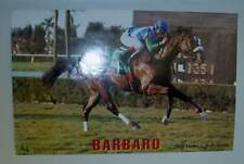 2006 barbaro poster for sale  Saint Charles