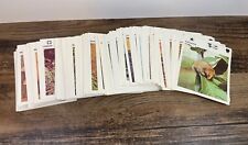 wildlife treasury for sale wildlife treasury for sale Omaha