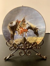 War ponies plains for sale  Oakland