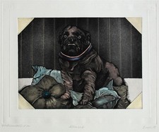 Carl bianga hund gebraucht kaufen  Berlin