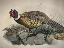 Antique victorian lithograph for sale  Elkland