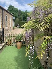 Self ctering cottage for sale  DARLINGTON
