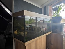 Verkaufe juwel aquarium gebraucht kaufen  Mahlow