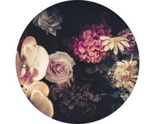 glasbild 30x80 gebraucht kaufen glasbild 30x80 gebraucht kaufen Deutschland