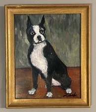 boston terrier dogs for sale boston terrier dogs for sale Saint Johnsbury