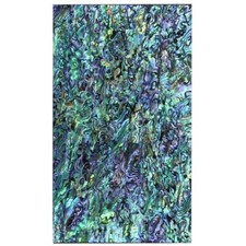 Abalone shell sheet for sale  Shipping to United States