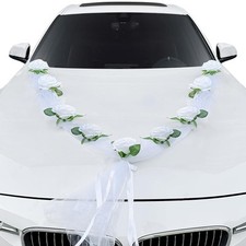 Artificiale coccarde auto usato  Italia