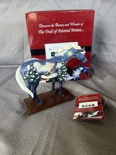 Trail painted ponies for sale  Abingdon
