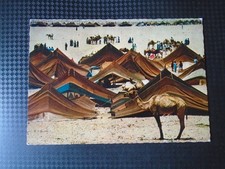 cpsm MOUSSEM DE TANTAN comprar usado cpsm MOUSSEM DE TANTAN comprar usado  Enviando para Brazil