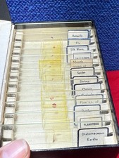 vintage microscope slide for sale vintage microscope slide for sale Fortville