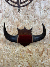 Vintage buffalo horns for sale  KING'S LYNN