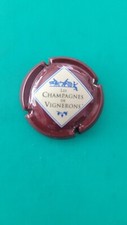 Capsule champagne série d'occasion  Saint-Martin-de-Seignanx
