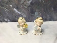 Pair holly babes for sale  Sacramento