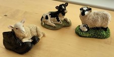 Cute small sheep for sale  MORECAMBE