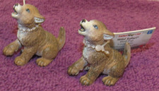 Lot wolf pup for sale  Newport