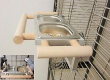 Papageien freisitz vögel gebraucht kaufen  Bodenwerder