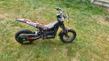 Ossett 12.5 kids for sale  HINCKLEY