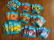 Lot cornucopia seed for sale  Duluth