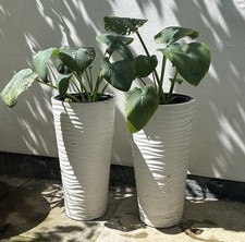 Tall planters flower for sale  CHELTENHAM