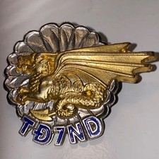 Rare insigne tdnd d'occasion  Essert