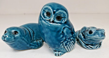 Poole blue animals for sale  WESTON-SUPER-MARE