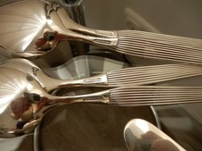 Besteck konvolut robbe gebraucht kaufen  Großenbrode