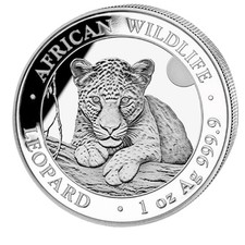 2025 somalia fauna usato  Spedire a Italy