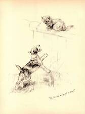 1933 vintage cat for sale  MOLD