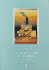 Ambiente nella pianificazione usato  Reggio Calabria