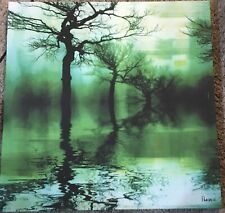 Artist parvez taj for sale  Minneapolis