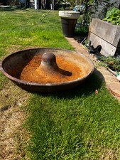 Mexican hat pig for sale  COLCHESTER