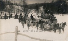 Logging rppc horse for sale  Harvard